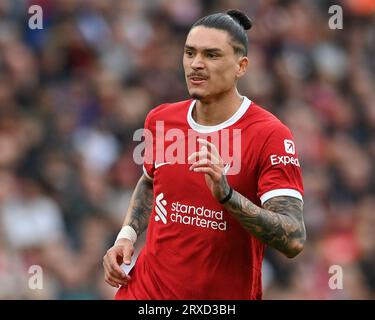 Liverpool, Royaume-Uni. 24 septembre 2023. Darwin Nunez de Liverpool lors du match de Premier League à Anfield, Liverpool. Le crédit photo devrait être : Gary Oakley/Sportimage crédit : Sportimage Ltd/Alamy Live News Banque D'Images