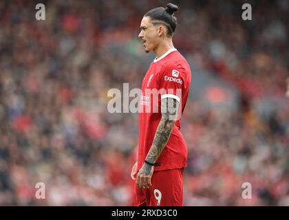 Liverpool, Royaume-Uni. 24 septembre 2023. Darwin Nunez de Liverpool lors du match de Premier League à Anfield, Liverpool. Le crédit photo devrait être : Gary Oakley/Sportimage crédit : Sportimage Ltd/Alamy Live News Banque D'Images