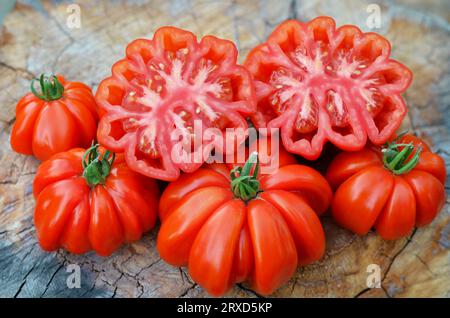 Gros plan de tomates rouges côtelées entières et demi. Concept de jardinage biologique. Banque D'Images