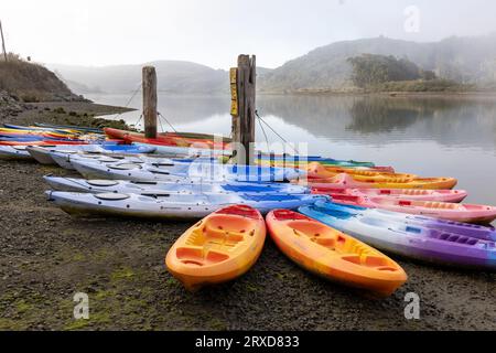 Groupe coloré de nombreux kayaks attendant sur la plage à côté de la rivière sur un matin brumeux à Jenner, comté de Sonoma, Californie. Banque D'Images
