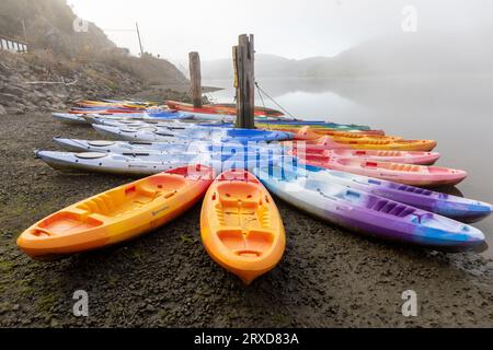 Groupe coloré de nombreux kayaks attendant sur la plage à côté de la rivière sur un matin brumeux à Jenner, comté de Sonoma, Californie. Banque D'Images