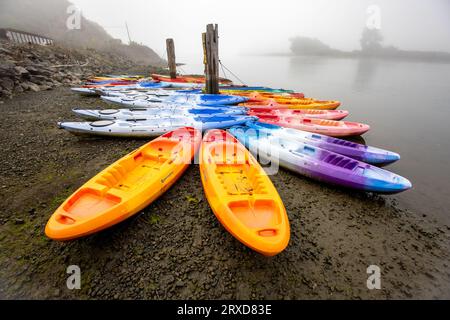 Groupe coloré de nombreux kayaks attendant sur la plage à côté de la rivière sur un matin brumeux à Jenner, comté de Sonoma, Californie. Banque D'Images