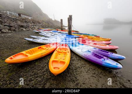 Groupe coloré de nombreux kayaks attendant sur la plage à côté de la rivière sur un matin brumeux à Jenner, comté de Sonoma, Californie. Banque D'Images