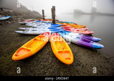 Groupe coloré de nombreux kayaks attendant sur la plage à côté de la rivière sur un matin brumeux à Jenner, comté de Sonoma, Californie. Banque D'Images