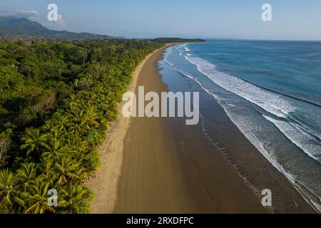 Belle vue aérienne de la plage d'Uvita au Costa Rica la forêt tropicale rencontre l'océan Banque D'Images