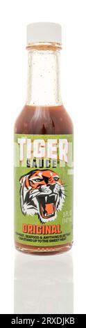 Winneconne, WI - 23 septembre 2023 : une bouteille de sauce oritinale tigrée sur fond isolé Banque D'Images