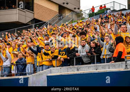 23 septembre 2023, blanc, blanc, États-Unis : 23 septembre, 2023 : fans lors des West Virginia University Mountaineers (WVU) vs Texas Tech Red Raiders à Morgantown, WV au Milan Puskar Stadium. Bradley Martin/apparent Media Group (image de crédit : © AMG/AMG via ZUMA Press Wire) USAGE ÉDITORIAL SEULEMENT! Non destiné à UN USAGE commercial ! Banque D'Images