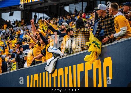 23 septembre 2023, blanc, blanc, États-Unis : 23 septembre, 2023 : fans lors des West Virginia University Mountaineers (WVU) vs Texas Tech Red Raiders à Morgantown, WV au Milan Puskar Stadium. Bradley Martin/apparent Media Group (image de crédit : © AMG/AMG via ZUMA Press Wire) USAGE ÉDITORIAL SEULEMENT! Non destiné à UN USAGE commercial ! Banque D'Images