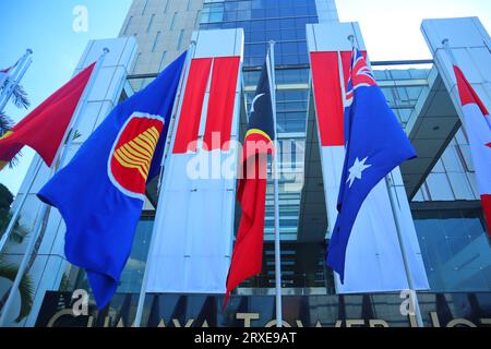 drapeaux des pays de l'asean installés devant l'hôtel Banque D'Images