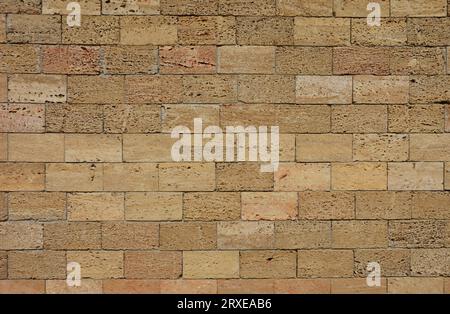 Texture de fond calcaire Shelly. Mur de pierre fait de calcaire shelly, c'est un calcaire très fossilifère, composé d'un certain nombre de o fossilisés Banque D'Images