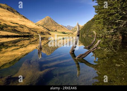 Arbre tombé s'élevant de réflexion sur le lac Moke, Queenstown, Île du Sud, Nouvelle-Zélande. La photo a été prise d'un kayak, tout en restant immobile. Banque D'Images