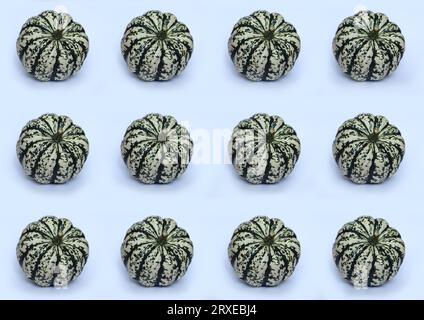 citrouilles rayées vertes et blanches sur motif blanc Banque D'Images