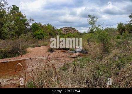 Criques et ruisseaux dans le Texas Hill Country, Enchanted Rock State Park, Texas Banque D'Images