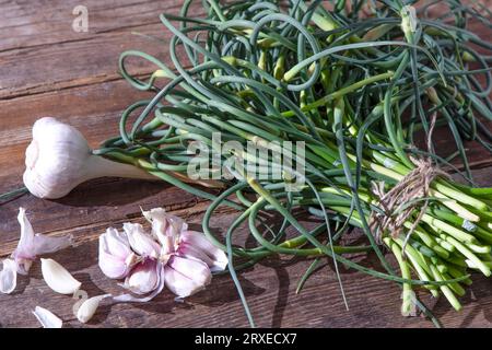 Flèches à l'ail. Un bouquet de verts sur la table. Alimentation en vitamines saine végétale. Tiges vertes de tiges plantules pour la salade et le ragoût. Herbes fraîches végétariennes, cuisine chinoise. Banque D'Images