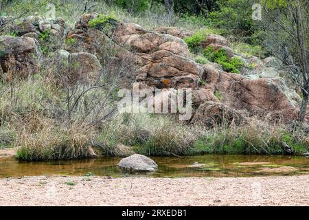 Criques et ruisseaux dans le Texas Hill Country, Enchanted Rock State Park, Texas Banque D'Images