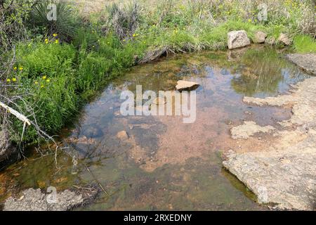 Criques et ruisseaux dans le Texas Hill Country, Enchanted Rock State Park, Texas Banque D'Images