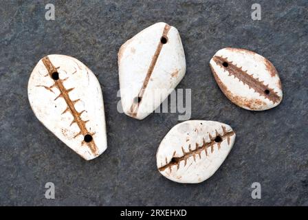 Les Chinois anciens Cowrie Shell Imitations dans Jade. Banque D'Images