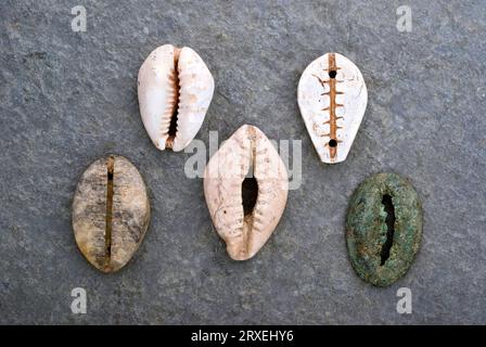 Les Chinois anciens Cowrie Shell Imitations Banque D'Images