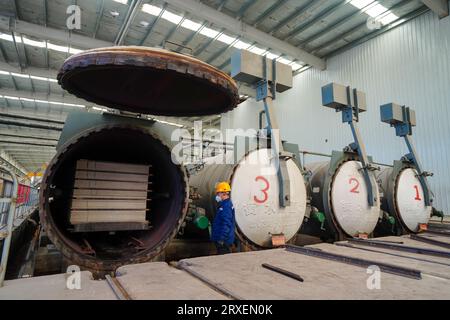 Luannan, Chine - 13 février 2023 : les travailleurs contrôlent les équipements de traction pour transporter de nouveaux matériaux de construction - panneaux de silicate de calcium - à partir d'autoclaves Banque D'Images