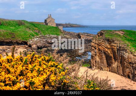 Côte de Howick Sands dans le Northumberland, Angleterre Banque D'Images