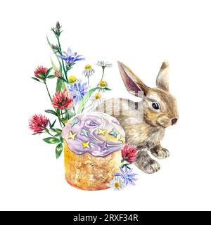 Lapin, gâteau de Pâques, fleurs sauvages de trèfle, camomille, chicorée. Illustration aquarelle isolée sur fond blanc. Cartes de vœux, invitations. Banque D'Images