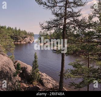 Ladoga Skerries, Lake Ladoga. Nature vierge. Carélie, Sortavala Banque D'Images