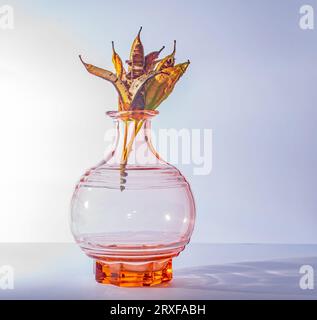 Un arrangement de têtes de graines ouvertes brunes sèches allumées latéralement dans un vase en verre orange Banque D'Images