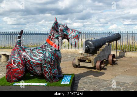 Hoolie Hound by Rio Moore fait partie du sentier artistique Scotties by the Sea. Banque D'Images