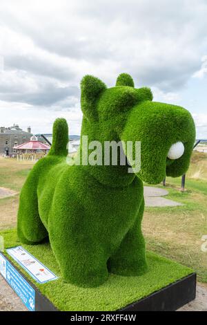 Topiary Scottie à St Andrews créé par Natalia Buravleva faisant partie de la piste d'art Scotties by the Sea. Banque D'Images