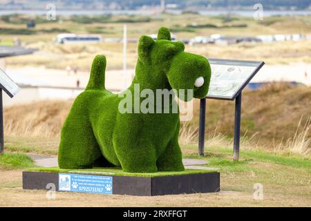 Topiary Scottie à St Andrews créé par Natalia Buravleva faisant partie de la piste d'art Scotties by the Sea. Banque D'Images