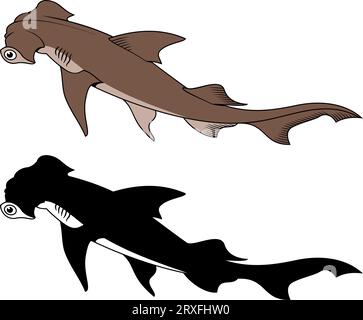 Requin marteau. Clipart vectoriel. Version couleur et silhouette noire. Illustration de Vecteur