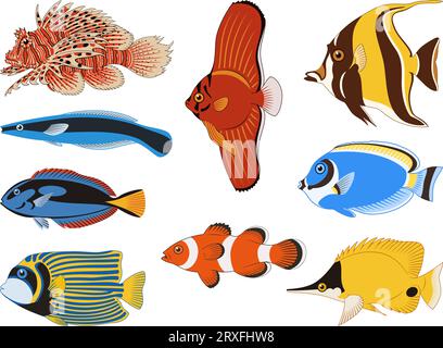 Collection de poissons de mer tropicaux. Cliparts vectorielles colorées isolées sur blanc. Illustration de Vecteur