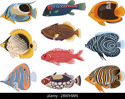 Collection de poissons de la mer tropicale 2. 10 cliparts vectorielles colorées isolées sur fond blanc. Illustration de Vecteur