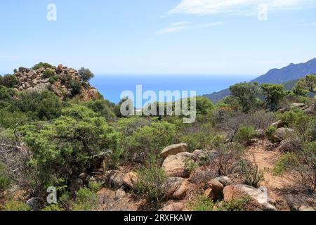 la zone de randonnée montagneuse autour de cardedu en sardaigne Banque D'Images