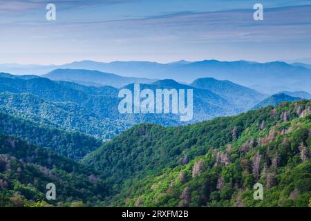 Donnent sur vue dans le Great Smoky Mountains National Park sur le côté de la Caroline du nord du parc. Banque D'Images