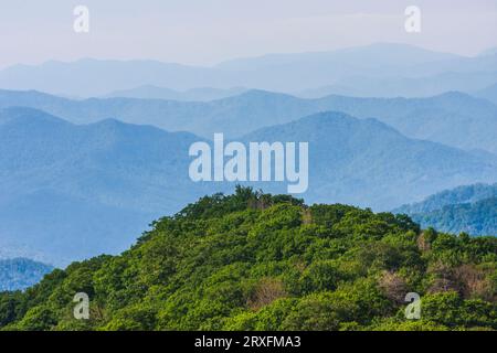 Donnent sur vue dans le Great Smoky Mountains National Park sur le côté de la Caroline du nord du parc. Banque D'Images