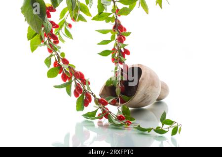 Branche avec baie de goji rouge mûre isolée sur fond blanc Banque D'Images
