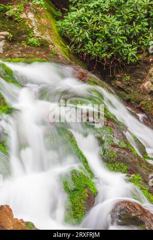 Rapides et cascades avec des rochers couverts de lichens sur Laurel Creek près de Cades Cove dans le parc national de Great Smoky Mountain du côté du Tennessee. Banque D'Images