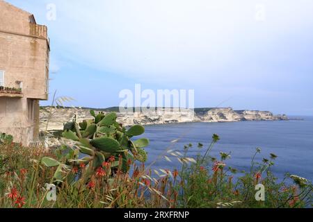 Vue imprenable sur les falaises près de la vieille ville de Bonifacio, Corse, France en Europe Banque D'Images