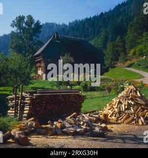 Ferme la 3e ferme de la vallée de Gutach. D-Baden-Wuerttemberg, Forêt Noire, Allemagne Banque D'Images