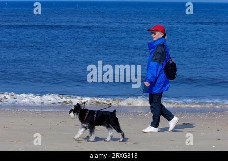 Femme avec Schnauzer miniature, noir-argent sur la plage, Castricum, pays-Bas Banque D'Images