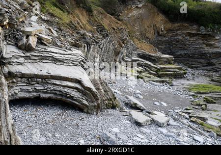 Flysch avec plis. Saint Jean de Luz, Aquitaine, France. Banque D'Images