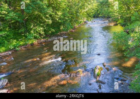 Rivière Oconaluftee à Great Smoky Mountains National Park, sur la côte de la Caroline du nord du parc sur l'image en été. Banque D'Images
