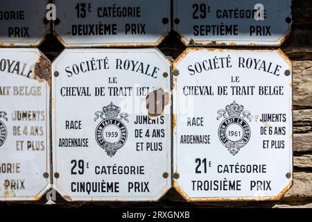 Plaques de compétition de tirant d'eau belges émaillées de la Société Royale de Cheval de trait Belge pour chevaux de trait belges, Belgique Banque D'Images
