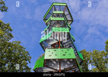 Nossen, Allemagne. 25 septembre 2023. La tour Rodigt à Nossen, en Saxe, a été construite en 2019. Cette tour de 29,9 m de haut rappelle un arbre aux feuilles de noyer, qui apparaissent également dans les armoiries de la ville. Crédit : Daniel Schäfer/dpa/Alamy Live News Banque D'Images