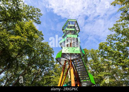 Nossen, Allemagne. 25 septembre 2023. La tour Rodigt à Nossen, en Saxe, a été construite en 2019. Cette tour de 29,9 m de haut rappelle un arbre aux feuilles de noyer, qui apparaissent également dans les armoiries de la ville. Crédit : Daniel Schäfer/dpa/Alamy Live News Banque D'Images