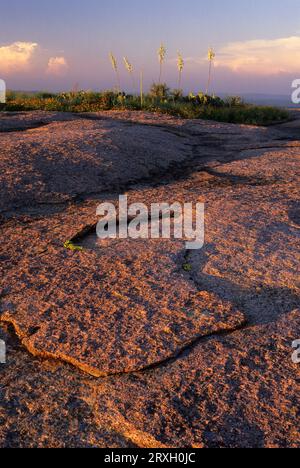 Enchanté Rock, parc national Enchanted Rock, Texas Banque D'Images