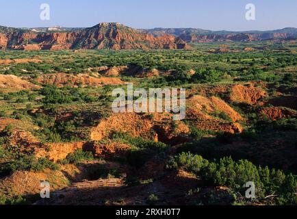 Vue sur le désert, parc national Caprock Canyons, Texas Banque D'Images