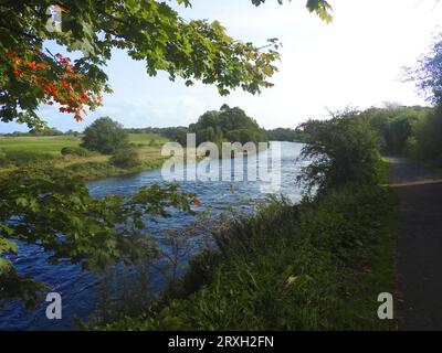 River Cree à Newton Stewart, Écosse Banque D'Images