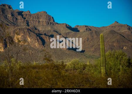 Coucher de soleil dans les montagnes de Superstition de l'Arizona, image 9650 Banque D'Images